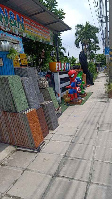 กระถางฝน ต้นทิพย์