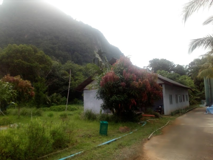 Krabi Loundry Industry Co., Ltd. - 2