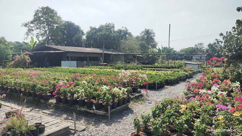 กลุ่มแม่บ้านเกษตรกรตำบลตลาดกระทุ่มแบน