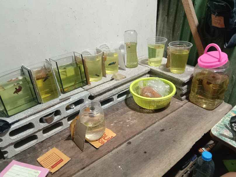 กลุ่มแม่บ้านเกษตรกรบ้านวังกระโดนน้อย