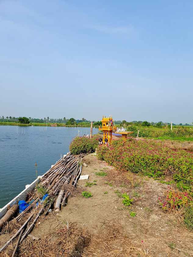กลุ่มแม่บ้านเกษตรกรแปรรูปปลาสลิด - 2