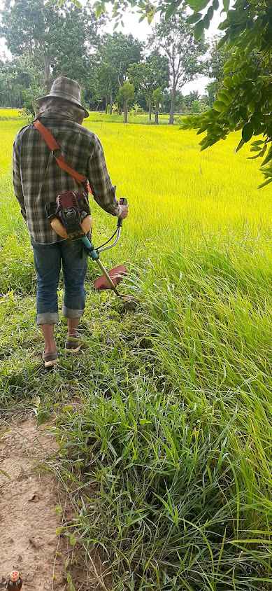 กลุ่มแม่บ้าน บ้านรวง