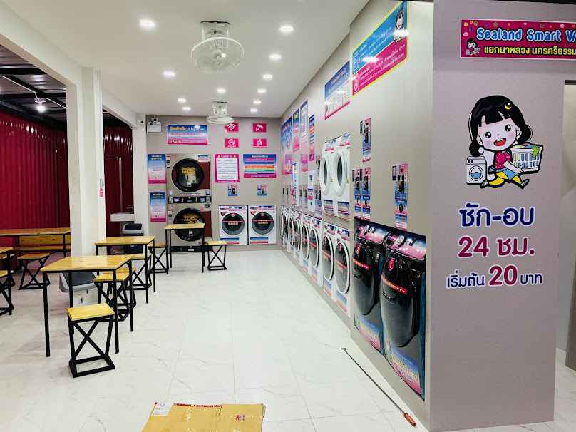 กวาง ซักสะดวก17h - 2