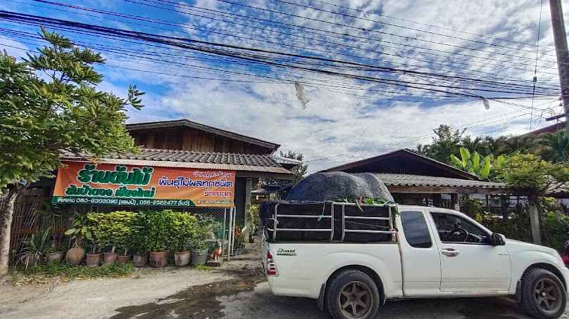 กาดนัดต้นไม้สันป่าตอง - 4