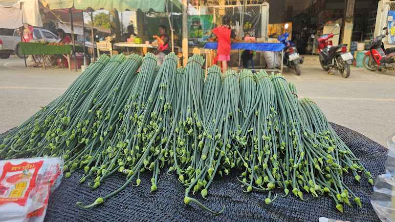 กาดศรีมฑเทียน-กาดงิ้วหงก ประตูหลวงศรีมฑเทียน