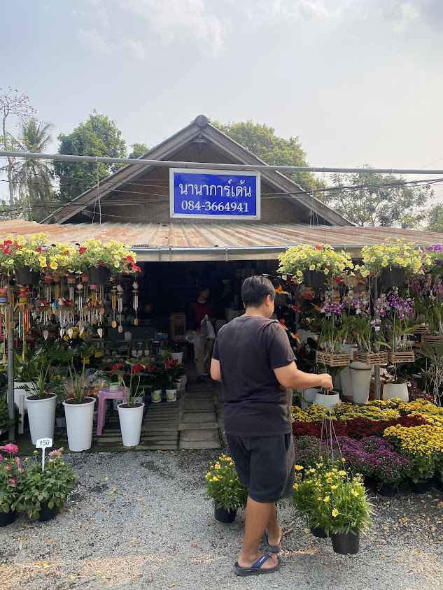 กาดไม้ไบออส - 3