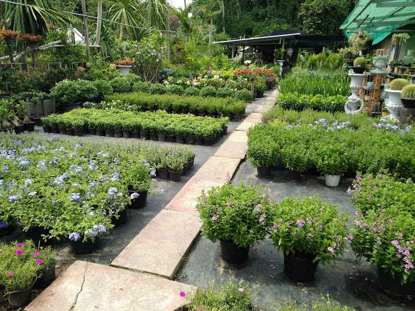 กาดไม้ ค่ายเม็งรายมหาราช - 4
