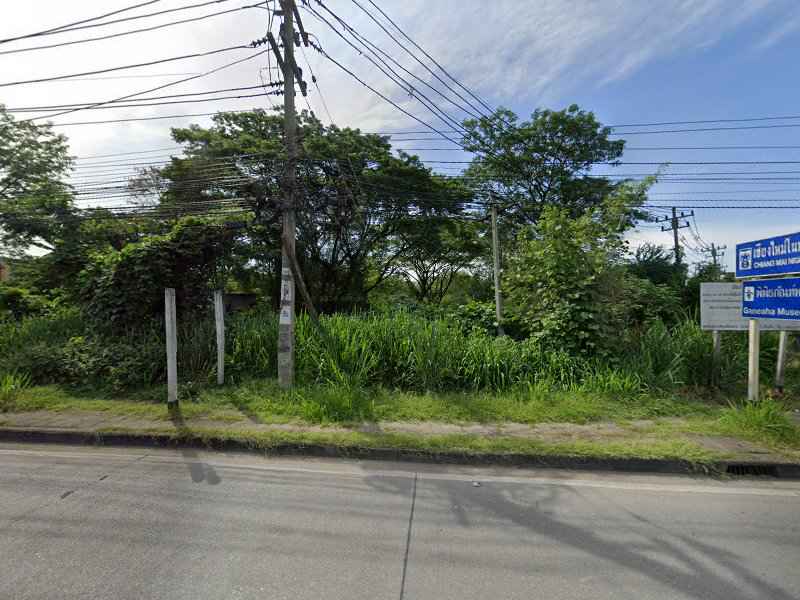 กาด ไม้งาม - 3