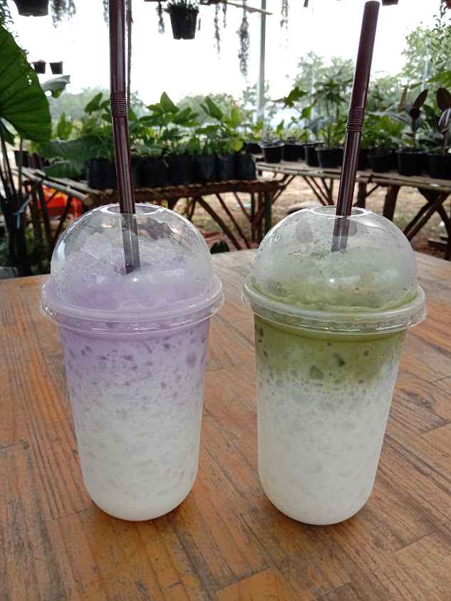 การ์เด้นเซ็นเตอร์ ดอนดู่ (Garden center Khon Kaen) - 4