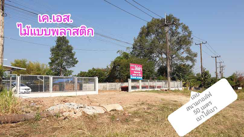 กาฬสินธุ์ไม้แบบพลาสติก - 2