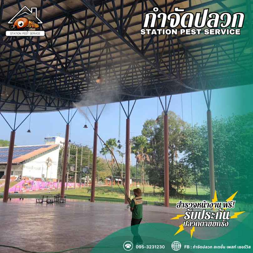กำจัดปลวกชุมพร สเตชั่น เพสท์ เซอร์วิส - 3