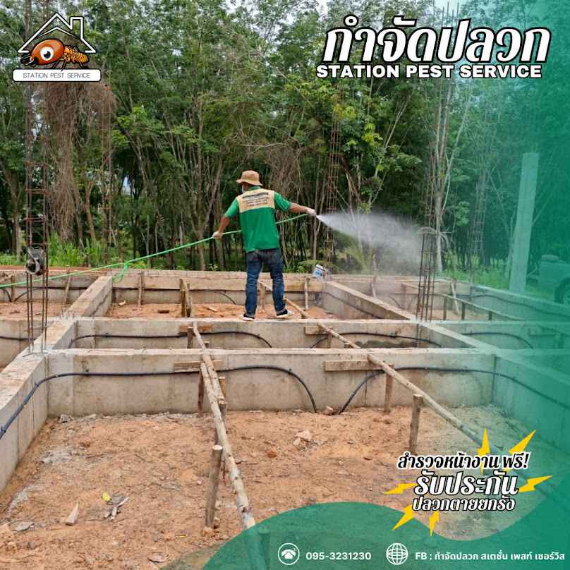 กำจัดปลวกชุมพร สเตชั่น เพสท์ เซอร์วิส - 4