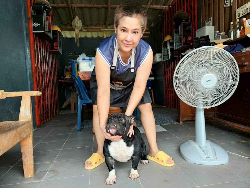 กุ้งวัสดุก่อสร้าง - 1