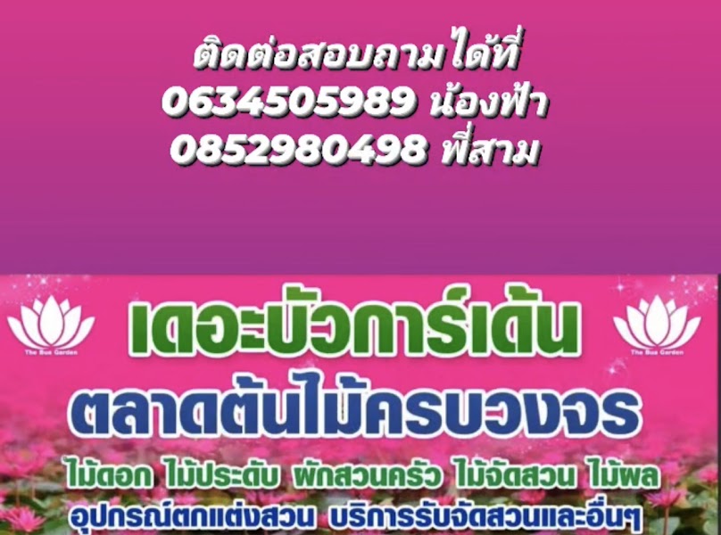 ก๋วยเตี๋ยว&อาหารตามสั่ง (ต้อ-กวาง) - 4