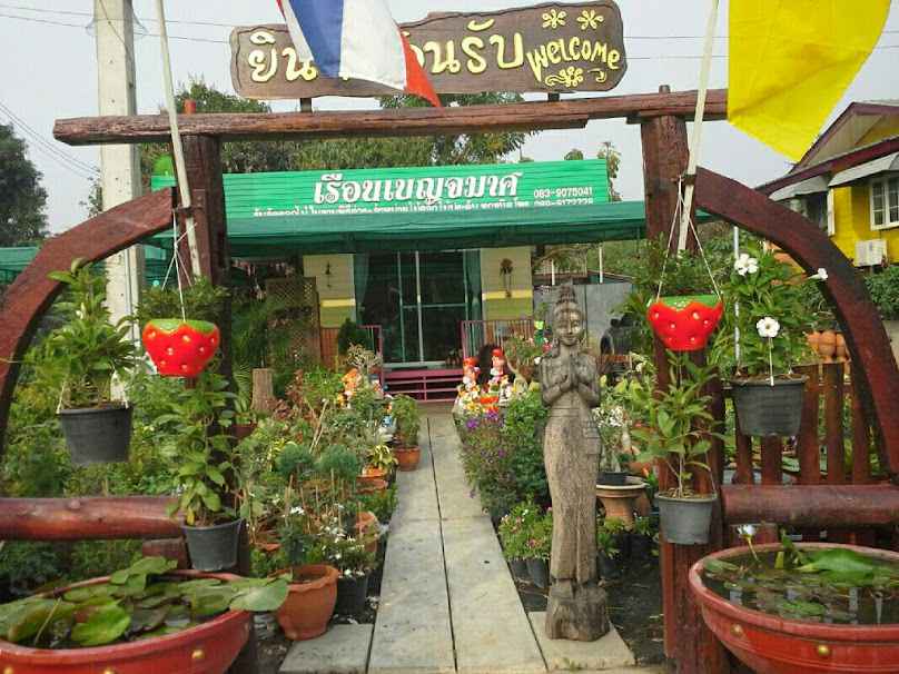 ขายต้นไม้รับจัดสวน - 2