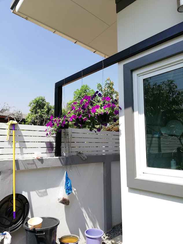ขายต้นไม้ เชียงใหม่ Chiang Mai Gardens 59/5 - 2