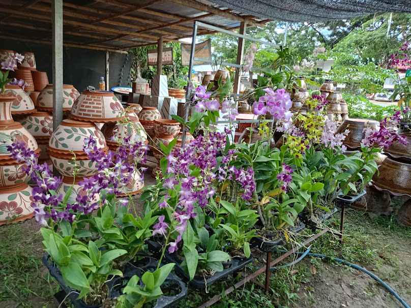 ขุนเขาพันธุ์ไม้