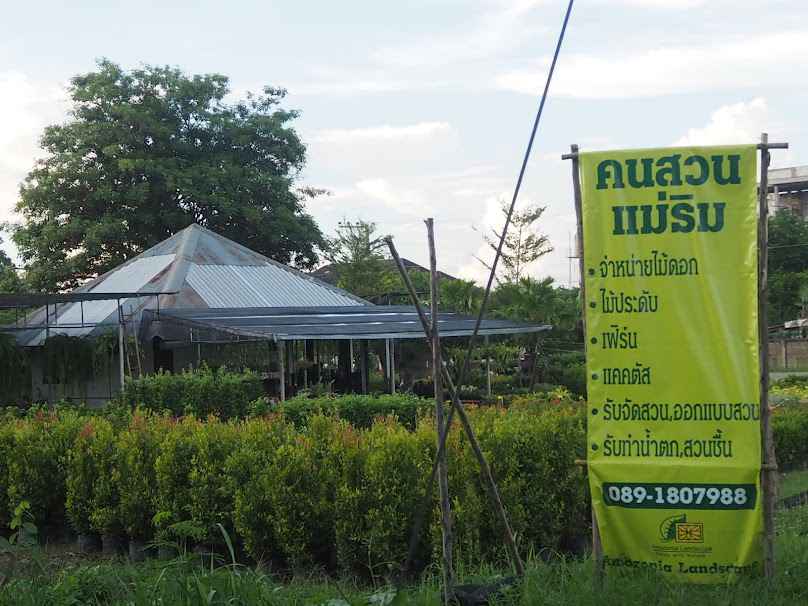 คนสวน แม่ริม (Amozonia landscape) - 1