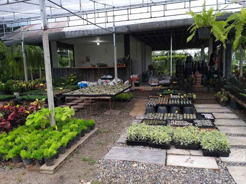 คนสวน แม่ริม (Amozonia landscape) - 2
