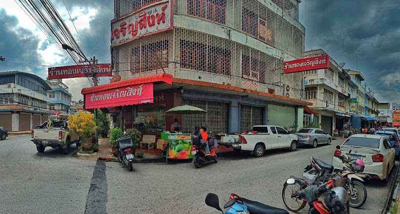 คลองถมสิงห์บุรี ขายเฟิร์นและไอเดียแต่งสวนให้คุณ - 4