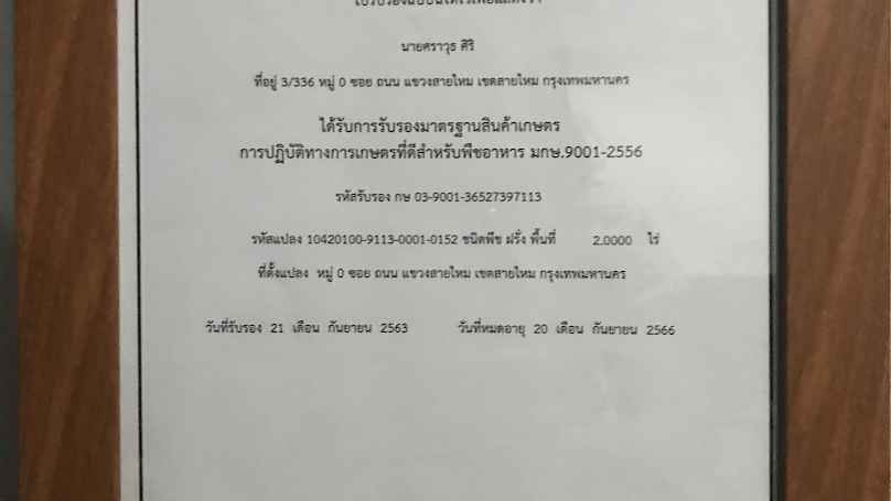 คุณแม่บ้านทำสวน - 2
