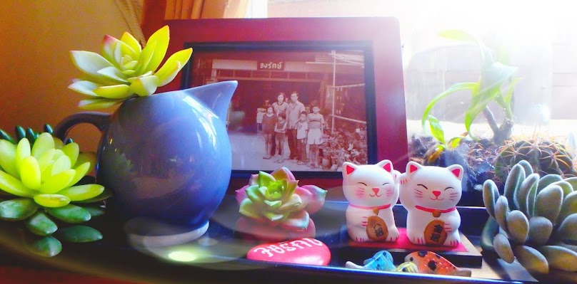 จงรักษ์พันธุ์ไม้ - 3