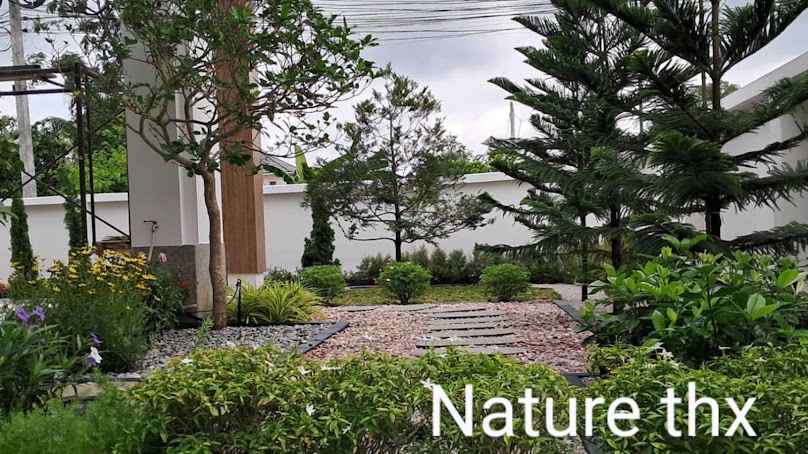 จัดสวนหาดใหญ่ ร้านต้นไม้ Nature Thanks - 2