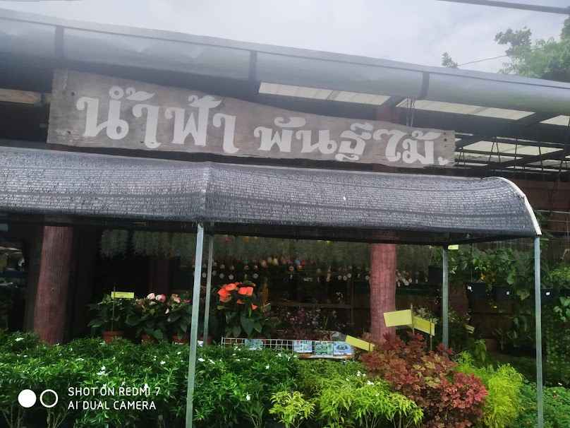 จันทบุรีพันธุไม้ - 2