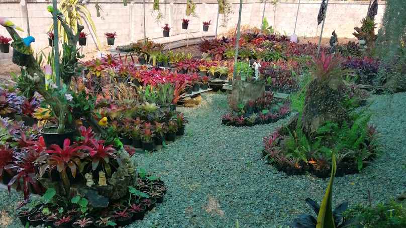 จำหน่ายสัปรดสีTukcin Garden - 2