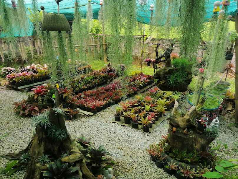 จำหน่ายสัปรดสีTukcin Garden - 3