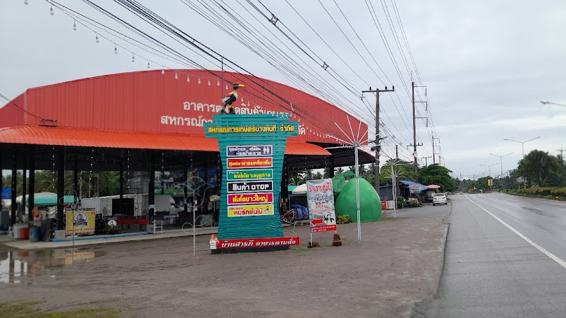 จุดนัดพบคนรักต้นไม้ที่สหกรณ์การเกษตรบางคนทีจำกัด