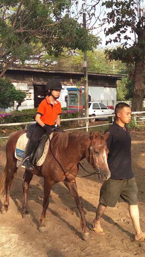 ชมรมกีฬาขี่ม้า ค่ายทองฑีฆายุ - 3