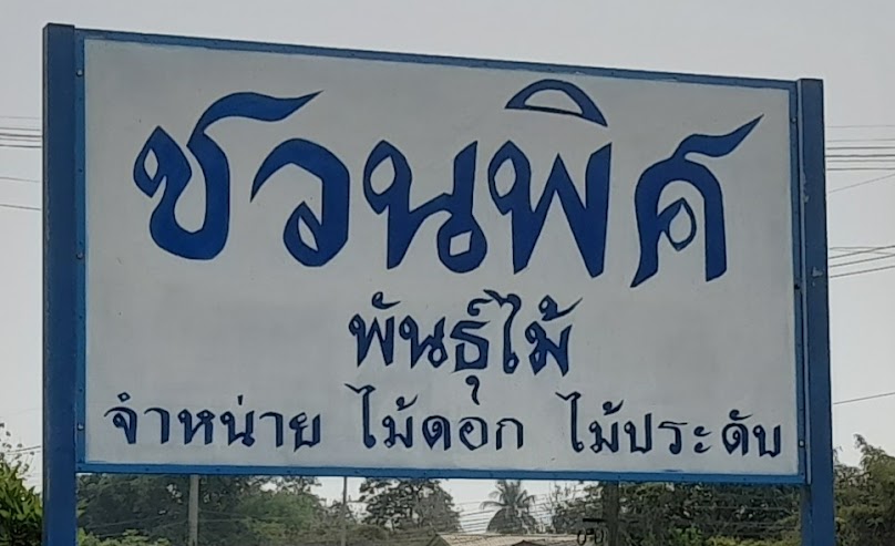 ชวนพิศพันธุ์ไม้