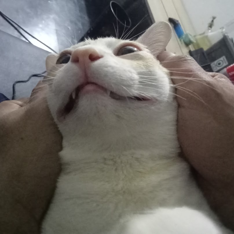 ชัยยนต์มอเตอร์ หนองบัวลำภู