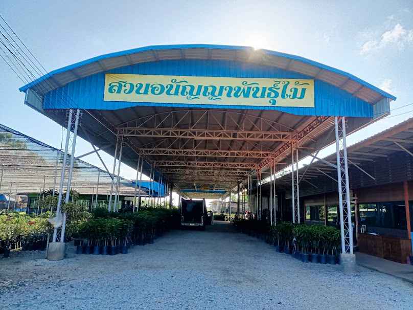 ชัยวัฒน์ตลาดกลางพันธ์ไม้ - 4