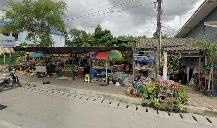 ซิ้มร้านต้นไม้ - 2