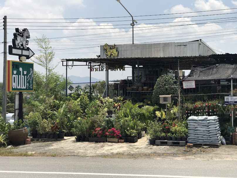 ซิ้มร้านต้นไม้ - 3