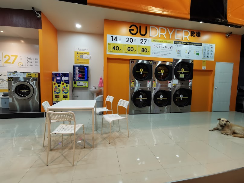 ฐานิตา ซัก อบ รีด - 2