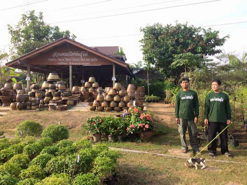ดงมะไฟพันธุ์ไม้-Dongmafai Garden