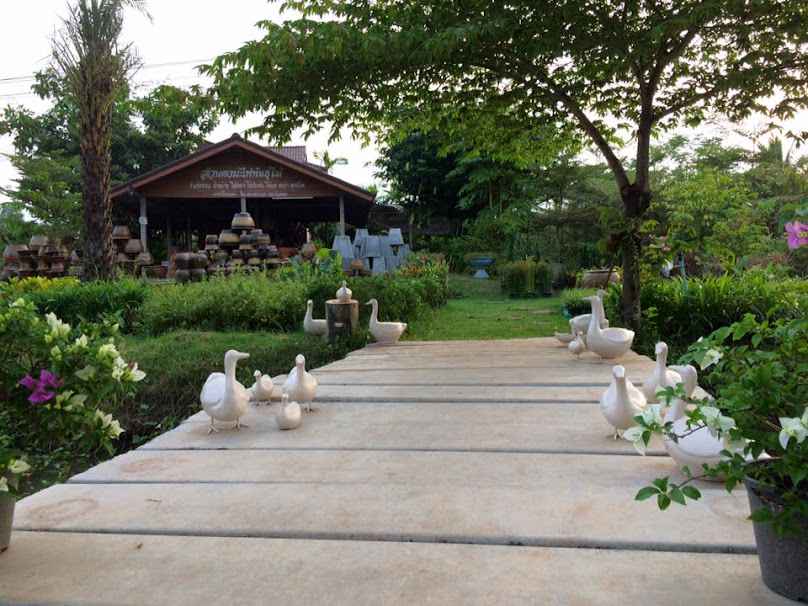 ดงมะไฟพันธุ์ไม้-Dongmafai Garden - 3