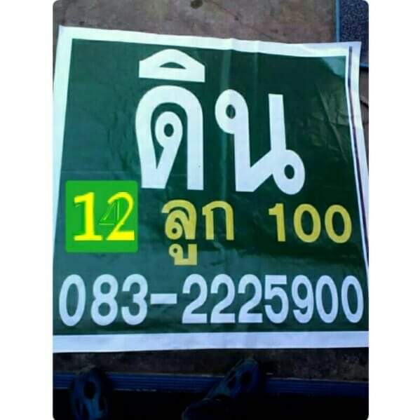 ดวง พันธุ์​ไม้ ดิน กระถาง - 4