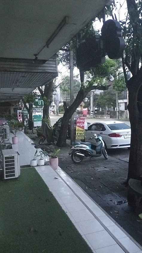 ดอกอัญชัน นวดเพื่อสุขภาพ - 2