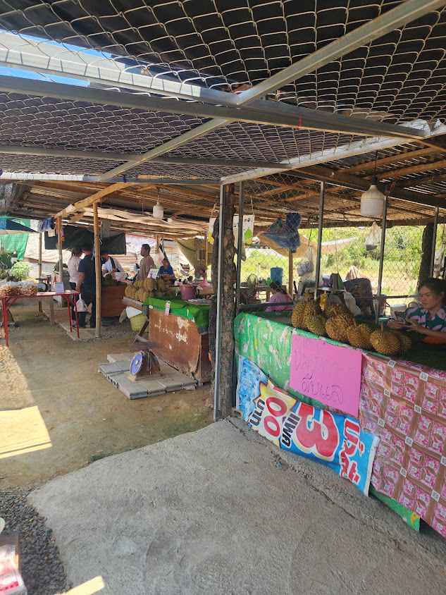 ตลาดขายผลไม้ วัดหัวดง - 2