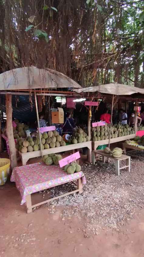 ตลาดขายผลไม้ วัดหัวดง - 3