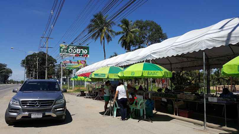 ตลาดดงยาง