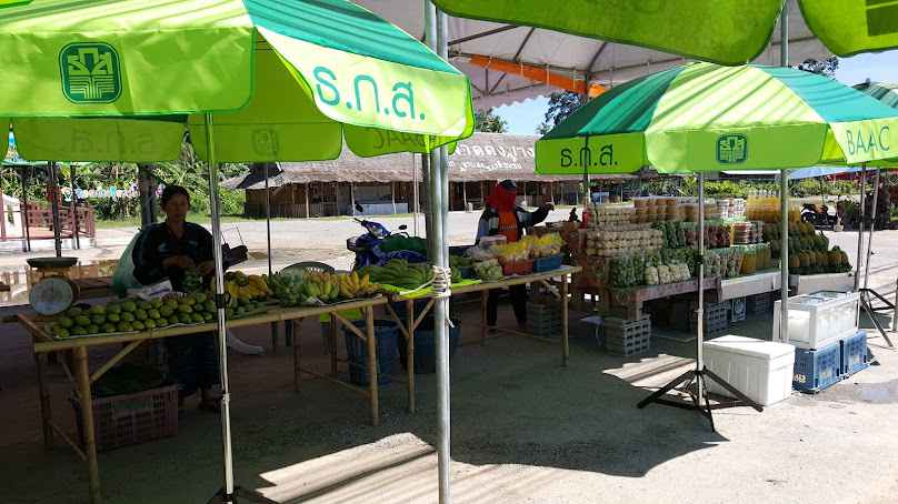 ตลาดดงยาง - 2