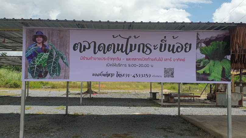 ตลาดต้นไม้กระบี่น้อย