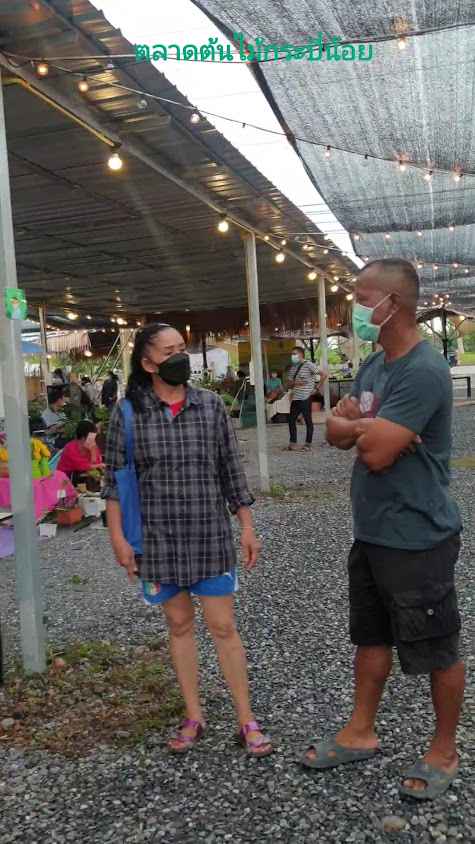 ตลาดต้นไม้กระบี่น้อย - 3