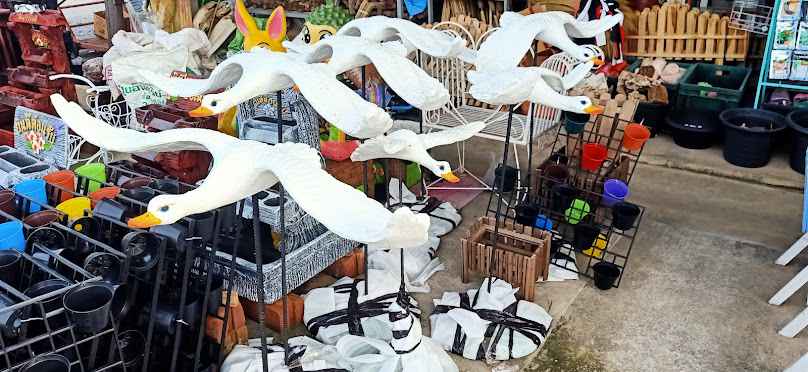 Kut Kwang Tree Market (Garden Centre) - 2