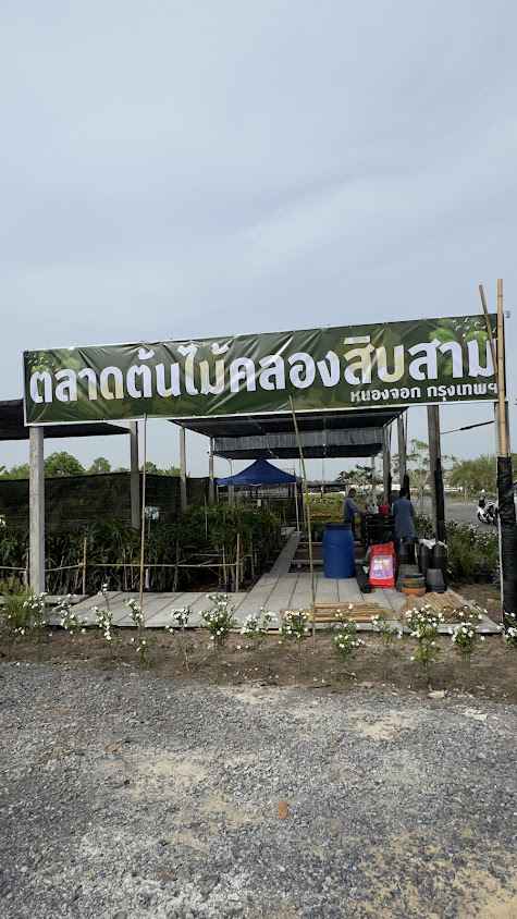 ตลาดต้นไม้คลอง13 - 4
